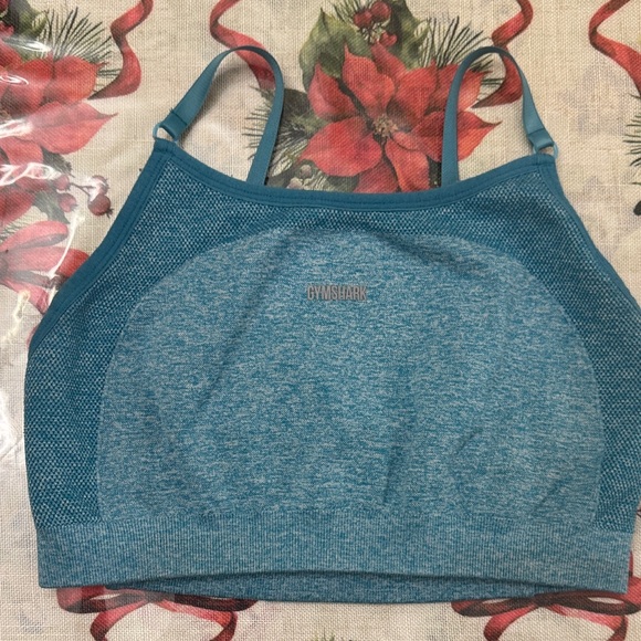 Gymshark Other - Gymshark Teal Sports Bra